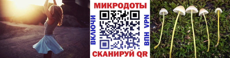 Псилоцибиновые грибы Psilocybine cubensis  Полевской 