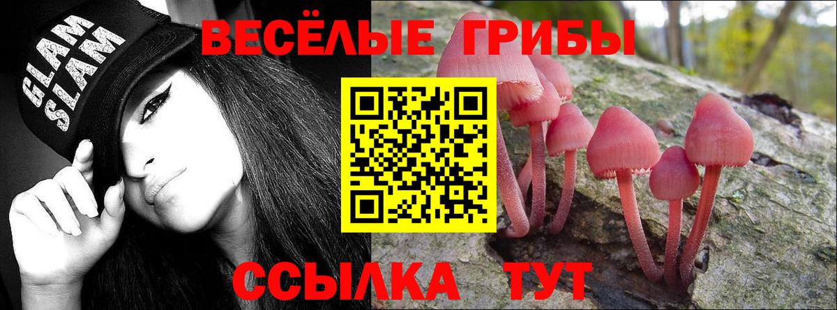 Псилоцибиновые грибы прущие грибы  Вход с VPN  Полевской  Галлюциногенные грибы мицелий 