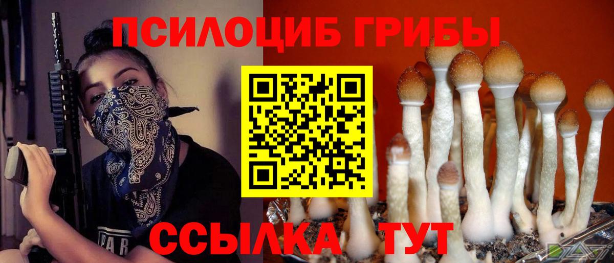 Галлюциногенные грибы GOLDEN TEACHER  Полевской  Псилоцибиновые грибы Psilocybine cubensis 