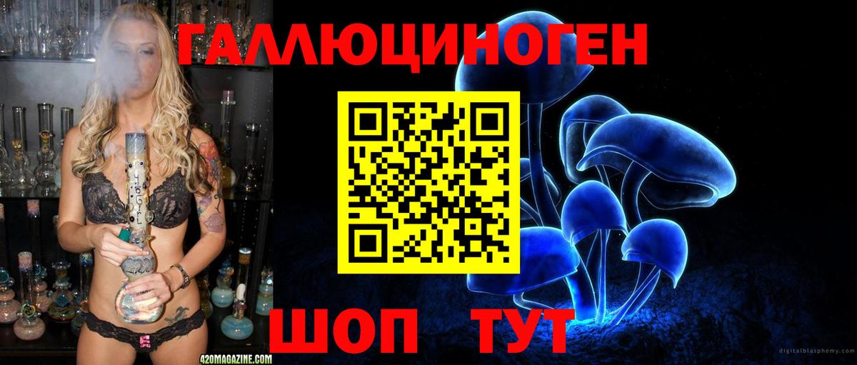 Псилоцибиновые грибы Psilocybine cubensis Полевской