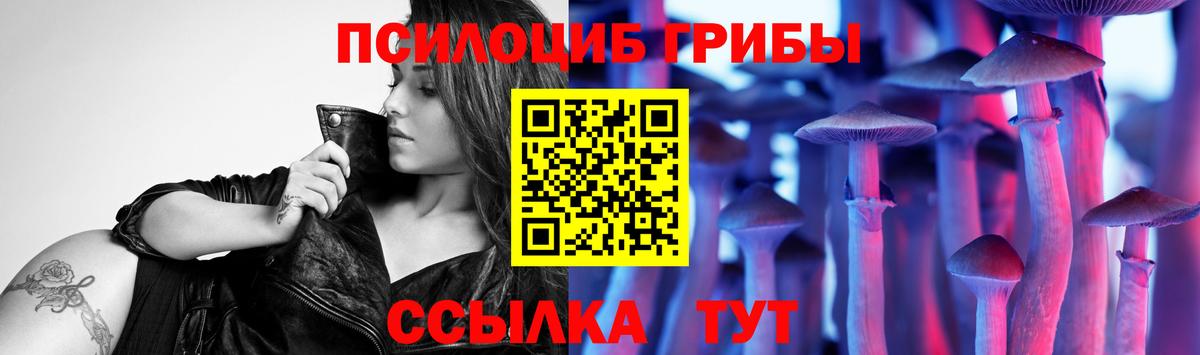 Галлюциногенные грибы Psilocybe Полевской